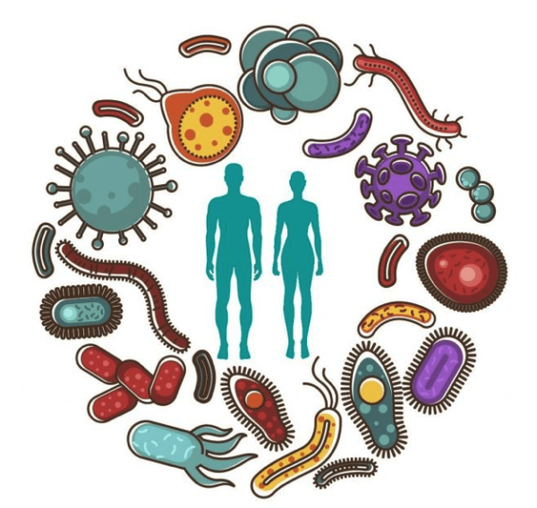 Nutrient Deficiencies and Autoimmune Disease Caplan Health Institute