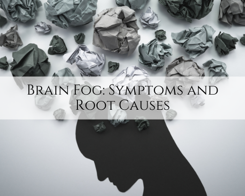 Brain Fog: Symptoms and Root Causes - Part 2 - Caplan Health Institute